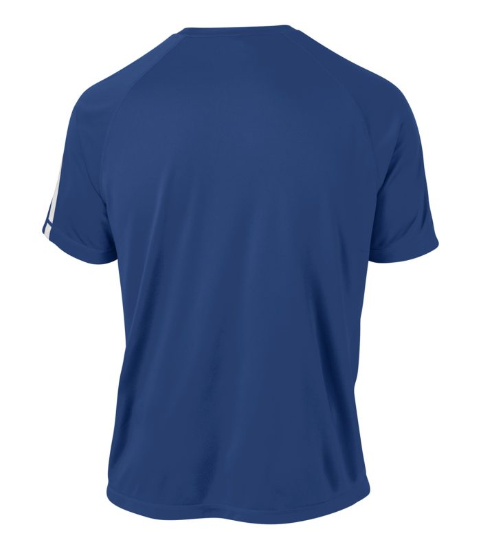 Royal Blue and White