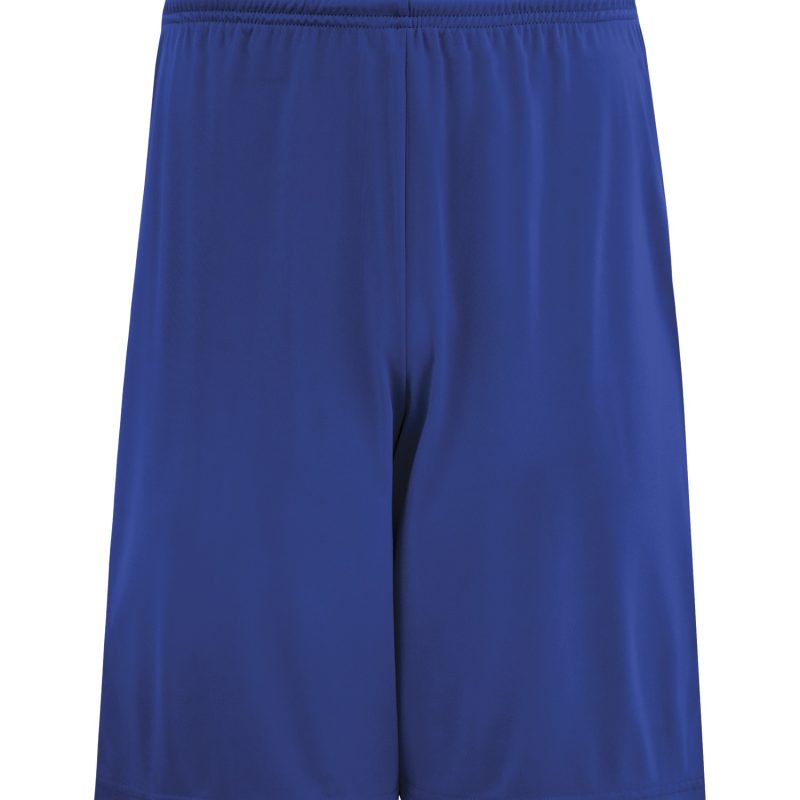 Royal Blue Sport Shorts